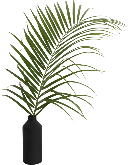 Plant Leaf in Vase