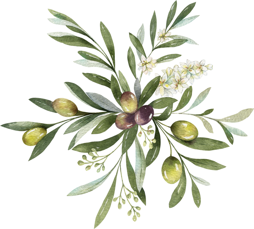 Watercolor bouquet with green olives and branches.